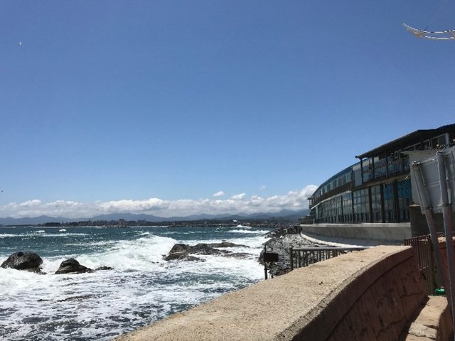 KakaoTalk_20180714_140006207.jpg