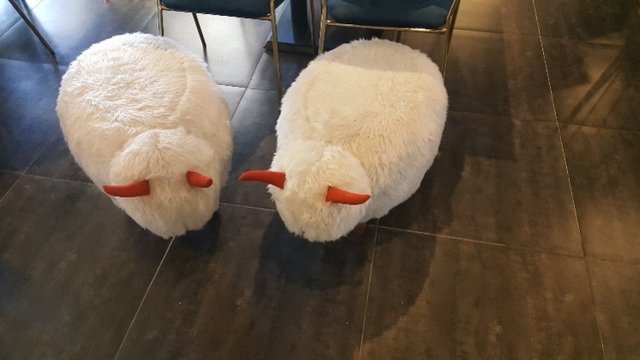 20180715_132356.jpg
