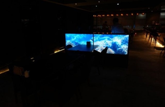 수족관영상 오묘.JPG