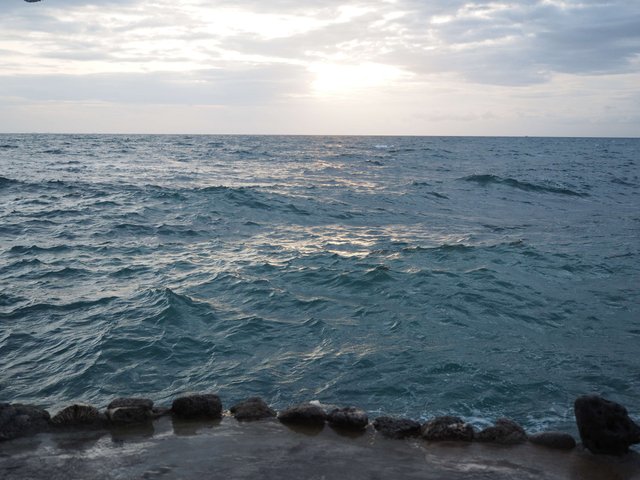 P6243702.JPG