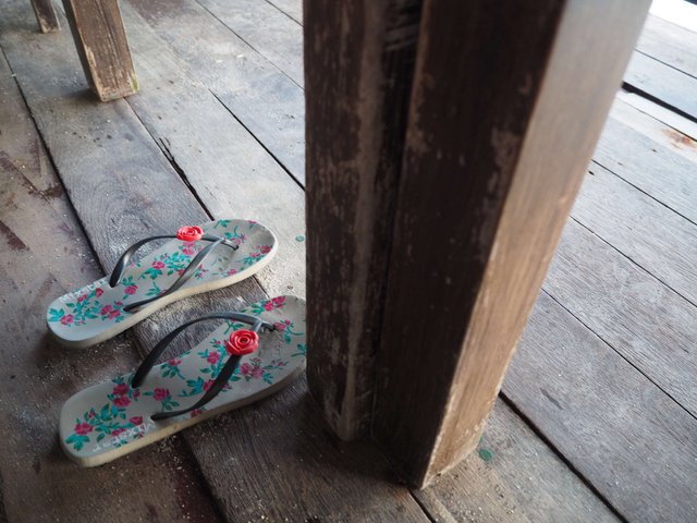 P6243741.JPG