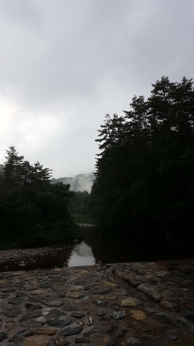 20180808_174011.jpg