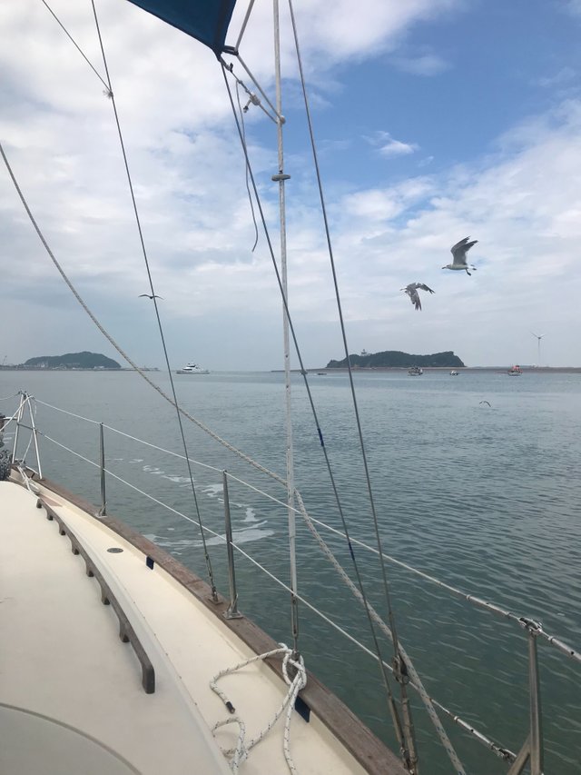 1CEB07A1-8D28-417C-B7FE-B725709E4AA0.jpeg