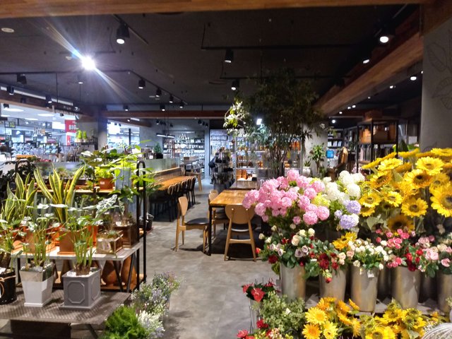 20180819_203444_HDR.jpg