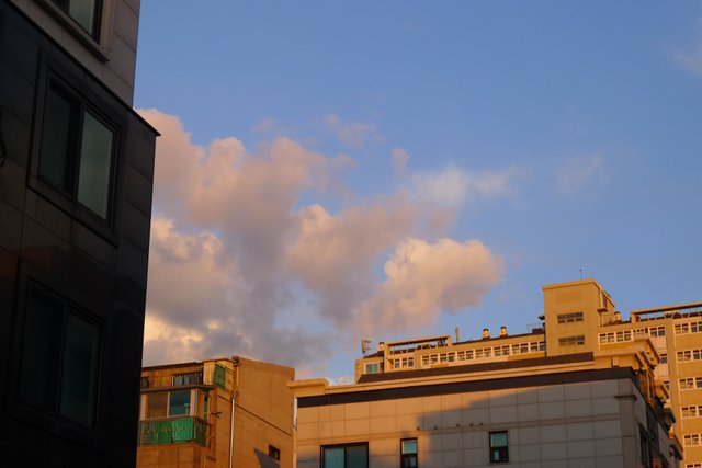 L1080773.jpg