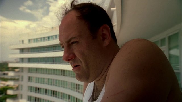 (source:sopranos.fandom.com)