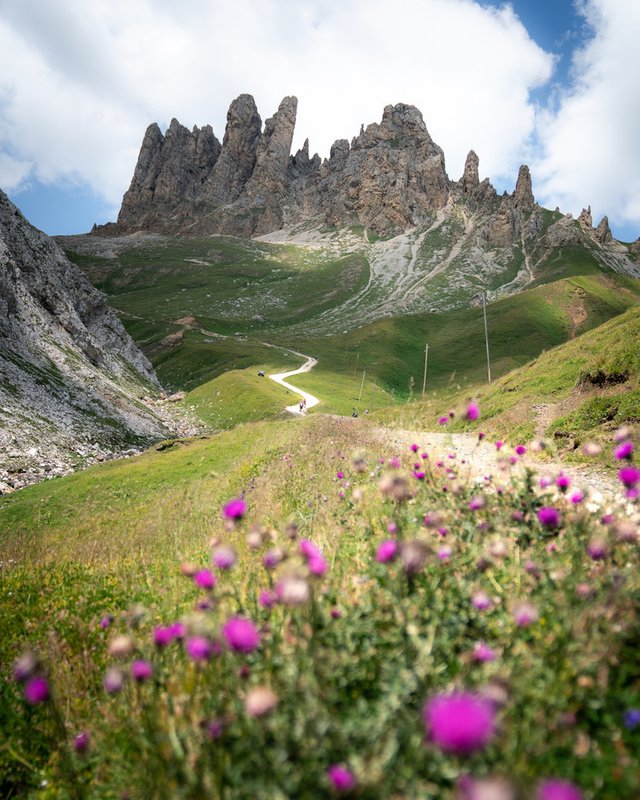 Alpi di Siusi