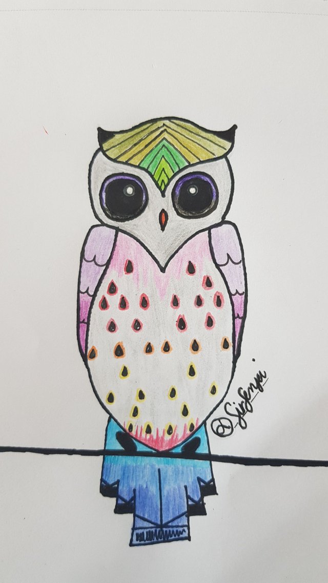 owl