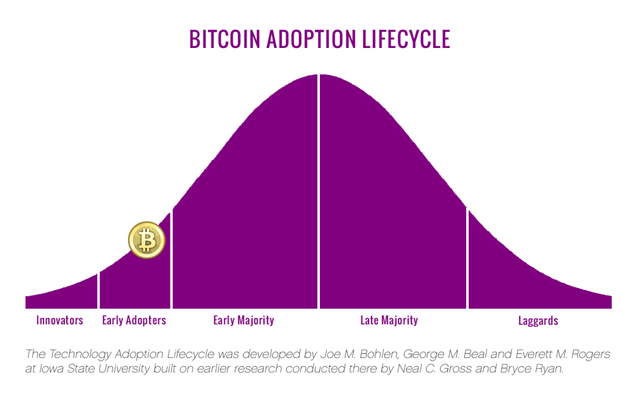 btc adoption