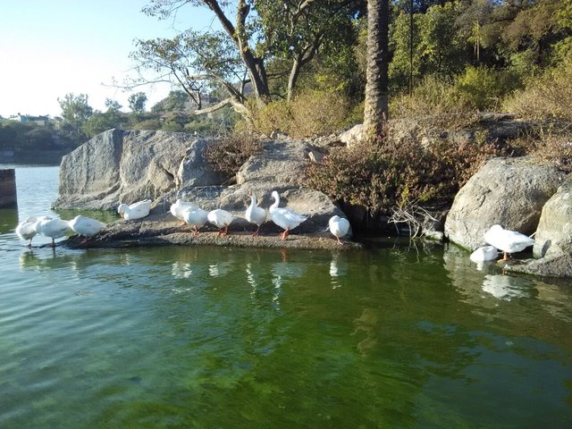 Nakki lake