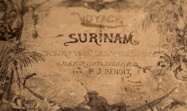 Surinam Cover_L.jpg