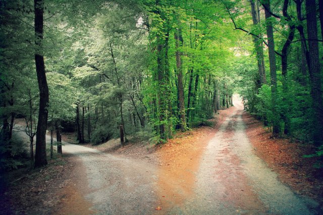 fork-in-the-road-2-paths.jpg