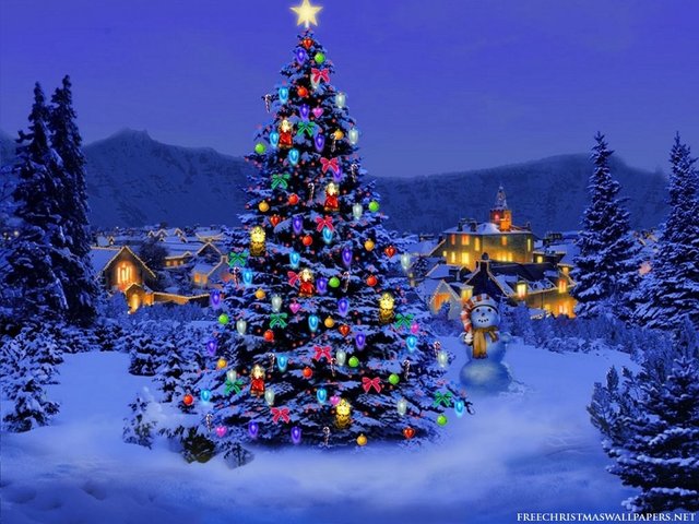 Christmas-Tree-Nature-1024x768.jpeg