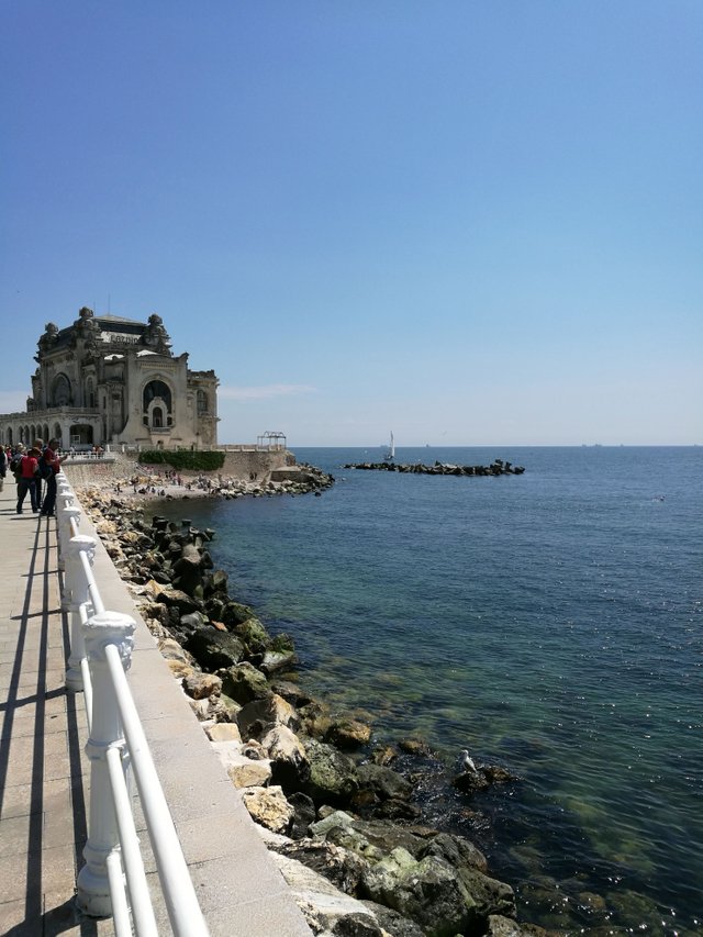 IMG_20180520_115259.jpg