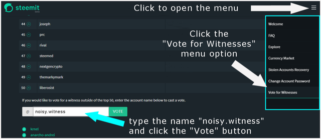 VoteForWitness-7.png