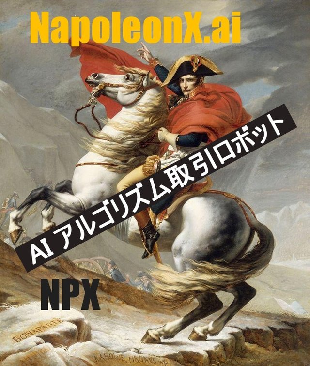 napoleonX_NPX_jp.jpg