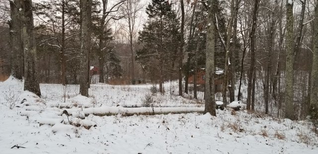 20180116_164548 - Mobile and barn with fallen trees in snow.jpg