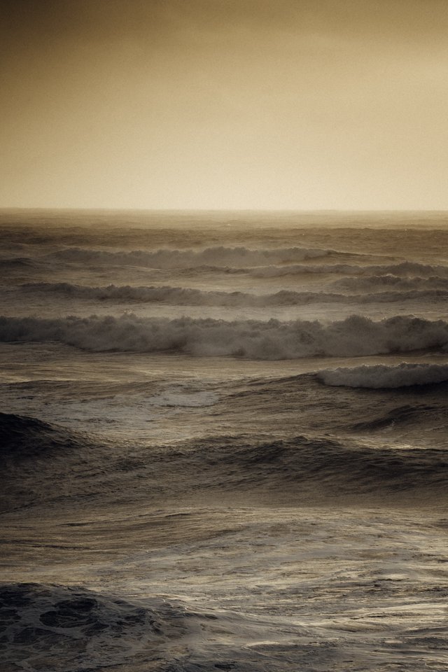 tofino_stormseason-9058.jpg