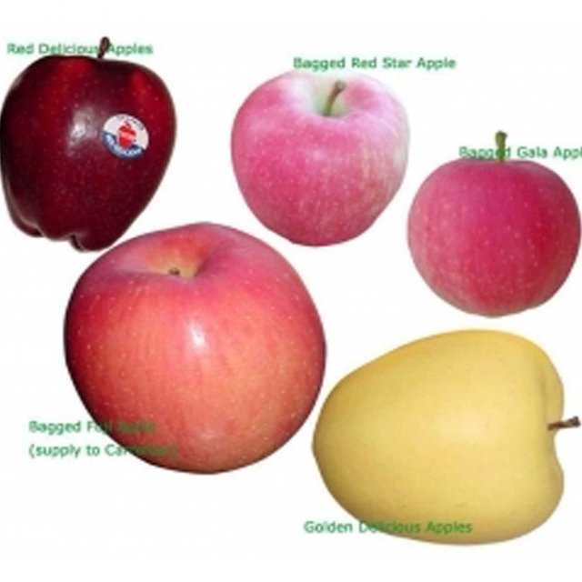 apple colour.jpg