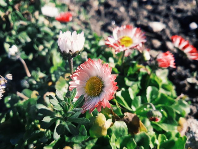 2018-03-14 04.05.58 1.jpg