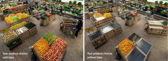 wholefoods.jpg