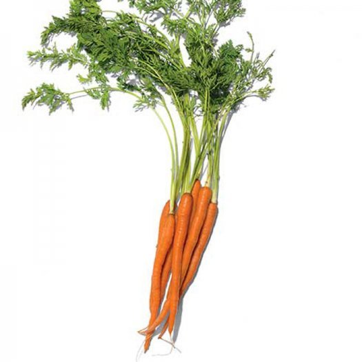 8-foods-eat-every-day-carrots-700_0.jpg