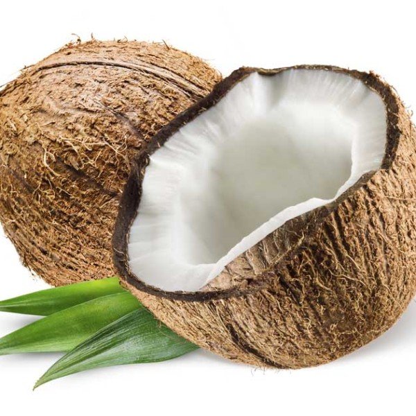 coconut-fb-600x600.jpg