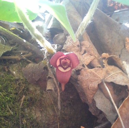 20150412_145922.jpg