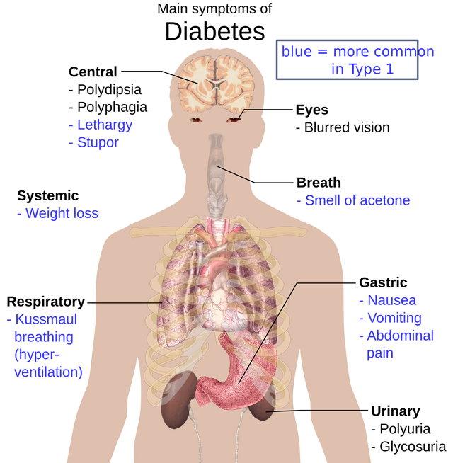 the-human-body-1279964_1280 (1).png