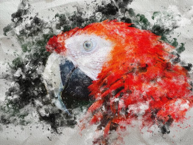 Parrot WaterColor.jpg