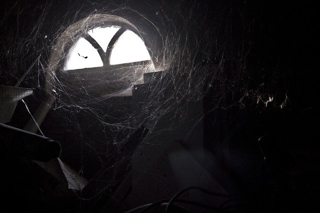 spider-webs-2903135_640.jpg