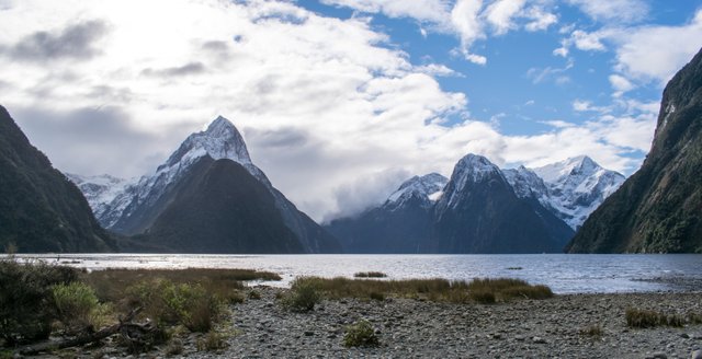 DSC_0611.jpg