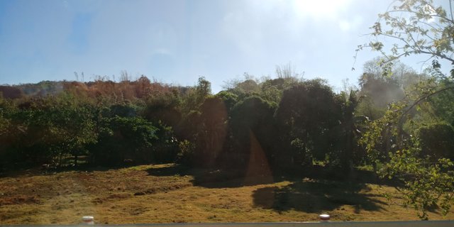 IMG20180428073857.jpg