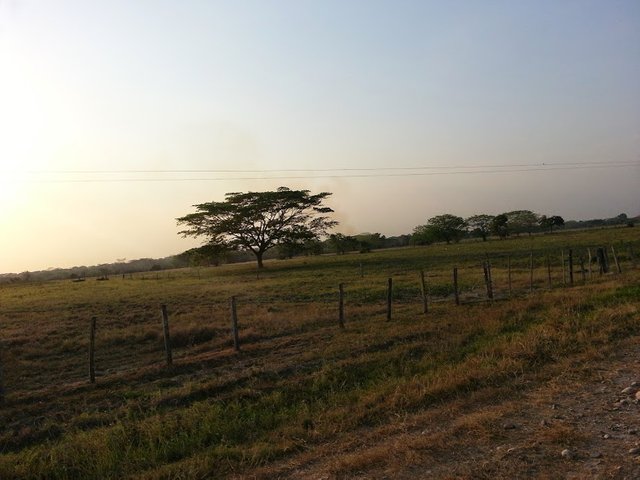 paisajes barinas2.jpg