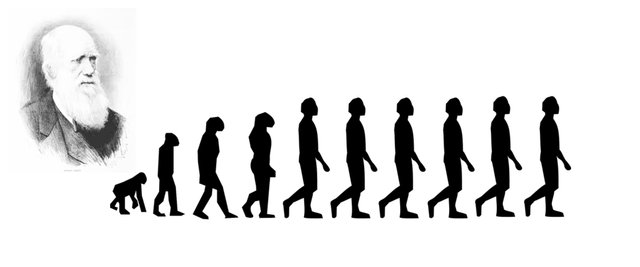 Darwin evolution.jpg