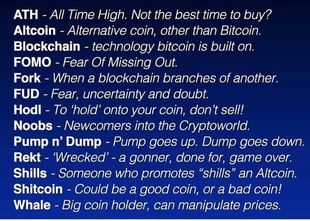 crypto slang.jpg