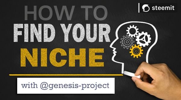find-your-niche.jpg