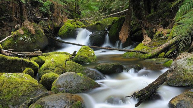 about-landscapes-nature.jpg