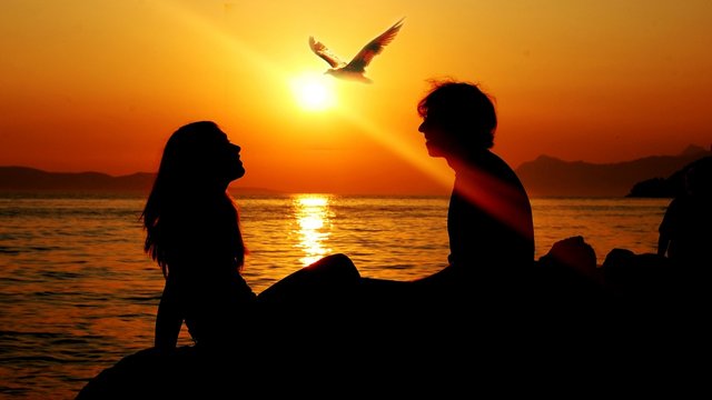 girl_sunset_summer_ray_love_sea_man_bird_freedom_silhouette_sun_sea_gull_31380_1280x720.jpg