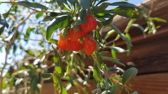 20170915_120858.jpg
