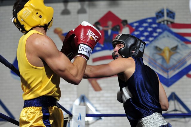 boxers-1919379_1280.jpg