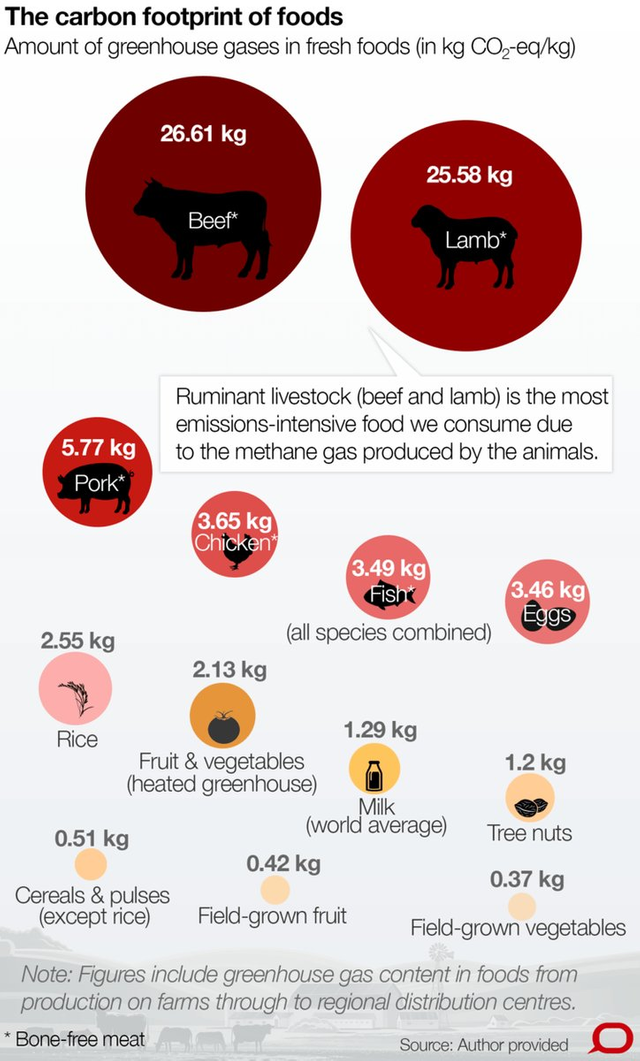 Protein an animal based versus plant based food carbon footprint. — Steemit