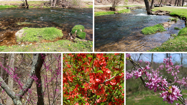 Spring Mill State Park (5).png