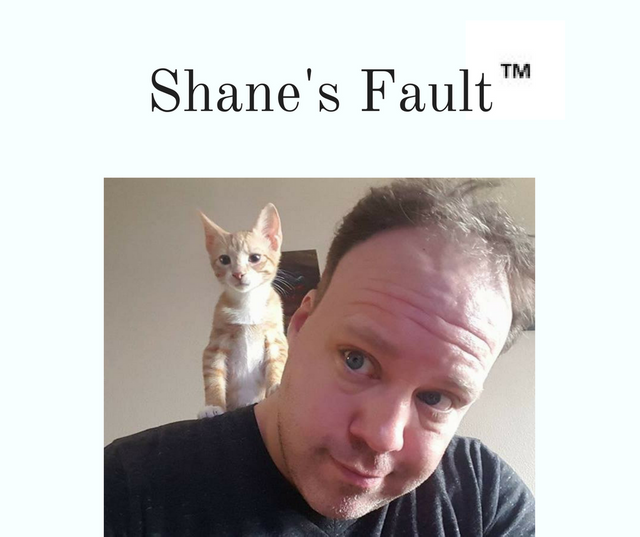 Shane's Fault.png