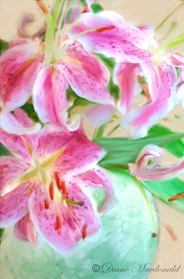 consider the lilies.jpg