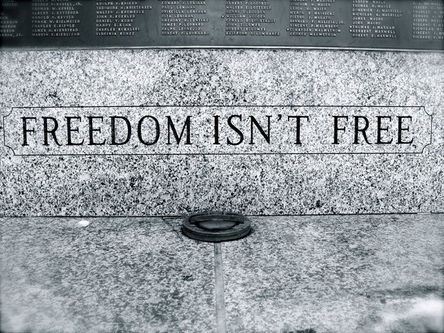 freedom_isn__t_free_by_oo2bored2careoo.jpg
