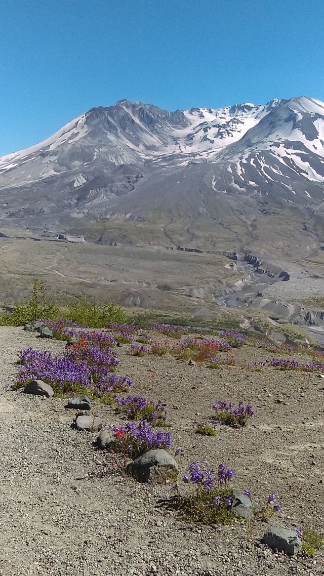 mt st helens 4.jpg