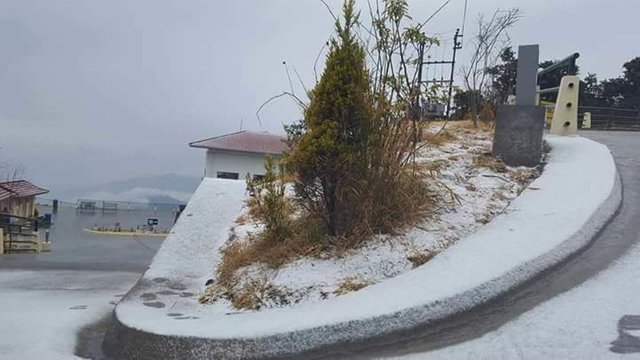 received_10215334224053136.jpeg