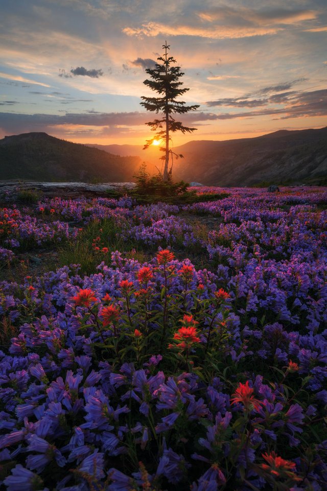 Mt Saint Helens2.jpg