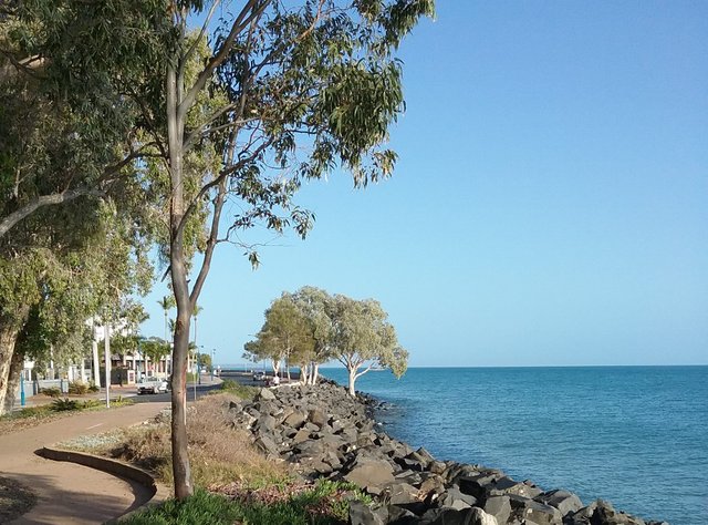 image7.jpg